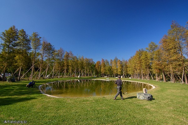 ▲新竹关西大乐之野景观餐厅赏落羽松。（图／满分的旅游札记提供）