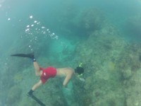 水上摩托车导致海洋升温　垦丁推出正宗“水下活动”