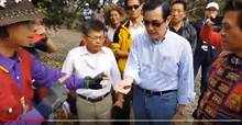 茂林赏蝶好美 被捕获野生马英九“超亲切”
