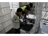 游绿博、送iPad！周周都有机会