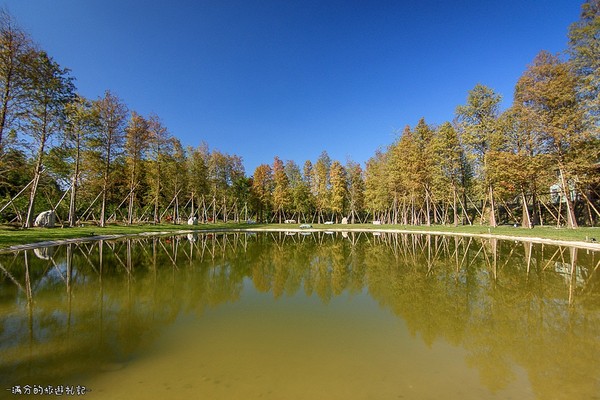 ▲新竹关西大乐之野景观餐厅赏落羽松。（图／满分的旅游札记提供）