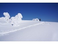 环游世界趁现在　3张机票地点任选只要13800