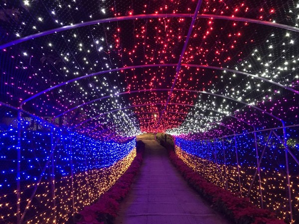 ▲三民山城红花灯火节。（图／桃园市大三民休闲农业发展协会提供）