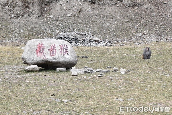  四川达古冰山景区。（图／记者黄琬茹摄）