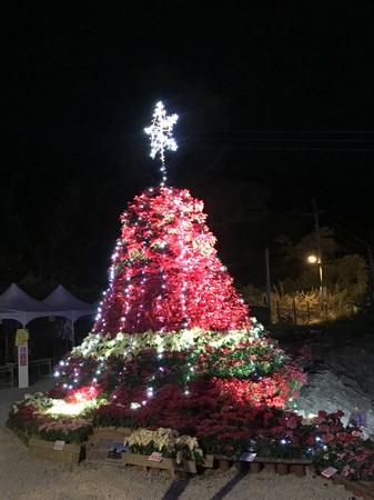 ▲三民山城红花灯火节。（图／桃园市大三民休闲农业发展协会提供）