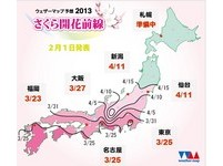 日本赏樱最前线！三月底进入粉红色“大作战”