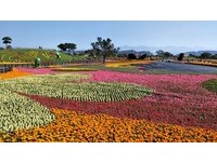2017台中国际花毯节　垃圾场也能变出黄金