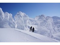 冬季限定“雪怪”行程　美得令人被埋也要看