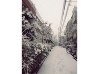 东京降下超量“初雪”　城市视线受阻、航班起降异动