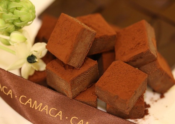 ▲云林斗六CAMACA卡莫卡巧克力庄园。（图／CAMACA提供）