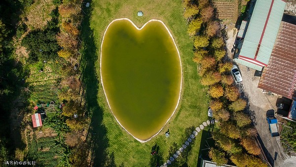 ▲新竹关西大乐之野景观餐厅赏落羽松。(图/满分的旅游札记提供)