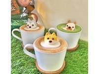 柴犬融化少女心！超萌动物造型棉花糖在拿铁里泡澡