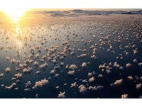北冰洋海面出现大片“霜花”　像老天爷空中洒糖晶