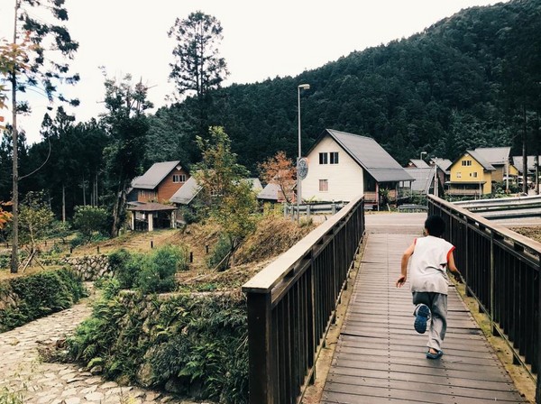 ▲嘉义阿里山得恩亚纳。（图／IG@gary_wu7提供，请勿任意翻摄以免侵权）