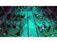 《少年Pi》巴黎泳池首映成真　观众得穿救生衣才能上船