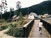山中梦幻“台版”合掌屋！嘉义灾后卷土重来的山林秘境