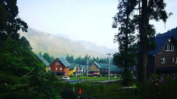▲嘉义阿里山得恩亚纳。（图／IG@cyj999提供，请勿任意翻摄以免侵权）