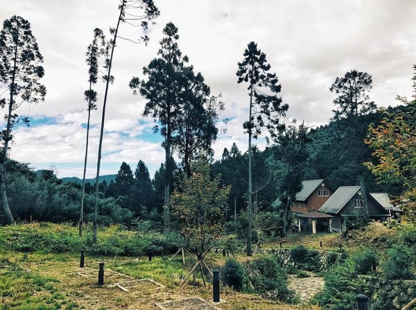 ▲嘉义阿里山得恩亚纳。（图／IG@gary_wu7提供，请勿任意翻摄以免侵权）