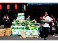 全台第一条“高丽菜街”成立　免费吃菜热血助农