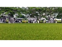 站在田中央！全台最美“稻浪”展场　诠释农人坚毅影像