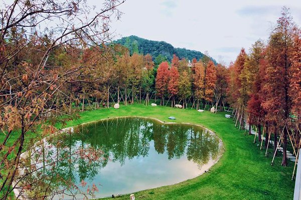 被落羽松林包围用餐全台十大欧风景观餐厅