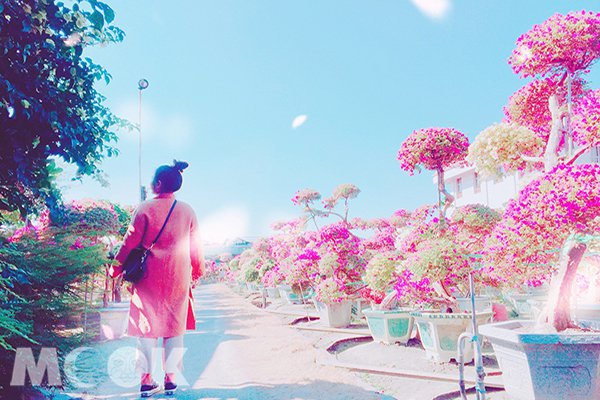 童话风打卡集散地六大梦幻景点IG版面不能少
