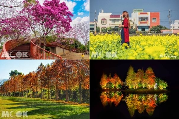 多颜色花海一次赏足六大赏花秘境用手机拍也美