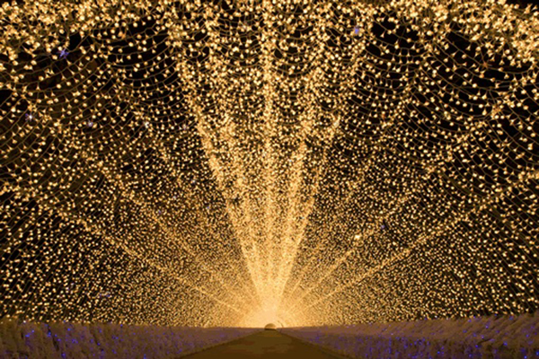 名花之里不只赏花！日本最大灯海夜景更强大