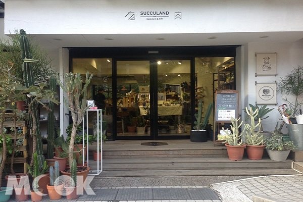 文青风多肉植物专卖店巷弄咖啡人气不坠