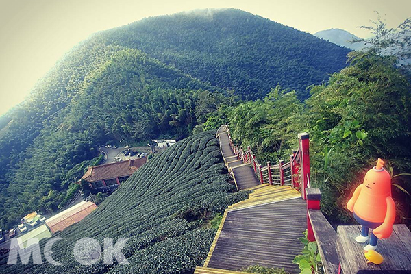 比太平云梯更刺激茶园版鹰石尖在这