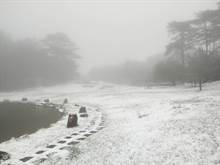 积雪达10公分！福寿山农场急冻 一夜变北国世界