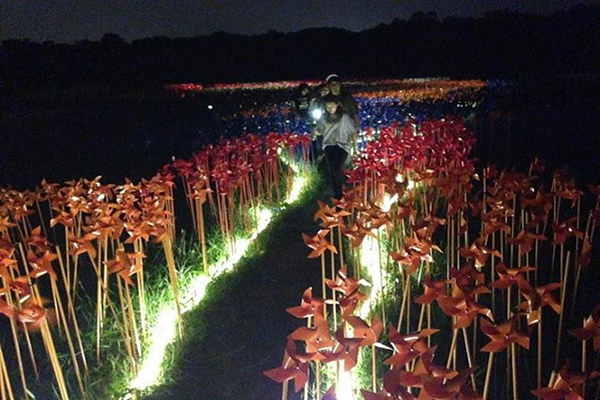7000风车夜景也美！台南荷兰风车节万圣Cosplay秀