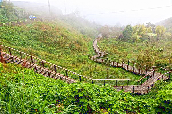 明信片美景都在这阿里山五大秘境步道