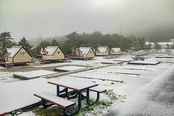 赏花名所下初雪白雪小木屋森林超浪漫