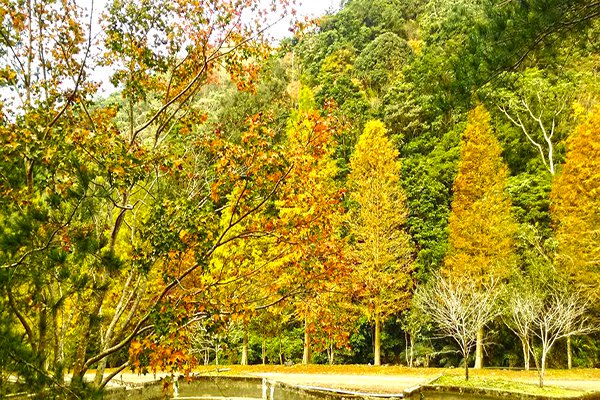 台湾也入选全球十大秋季美景
