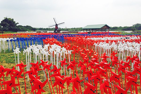 台南荷兰村风车节登场7千支风车巨人迷宫超吸睛