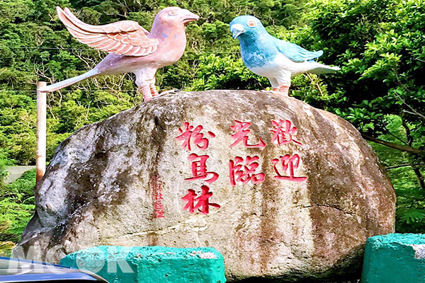 最美海岸秘境幻灭粉鸟林美景变调