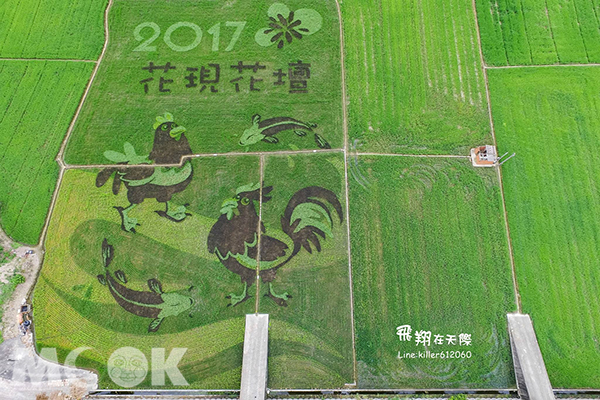 空拍Q版彩绘稻田新景点彰化花坛五大必游