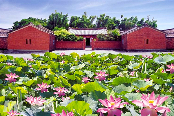 桃园莲花季四大体验奇幻漂浮古宅巡礼