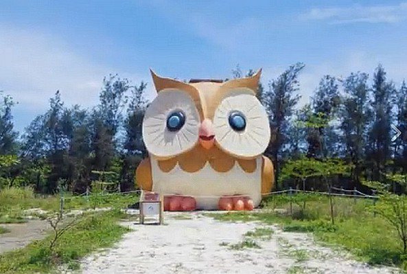 猫头鹰飞下山近距离耍萌引发游客抢拍