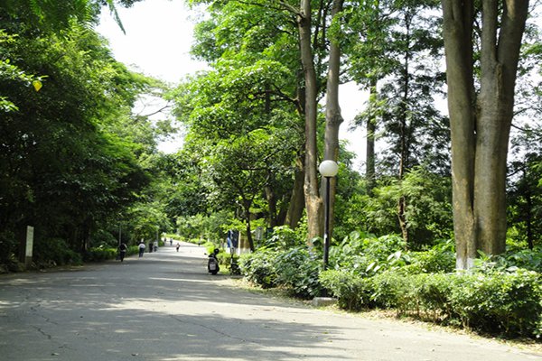 夏日消暑踏青名单全台十大休闲林荫步道