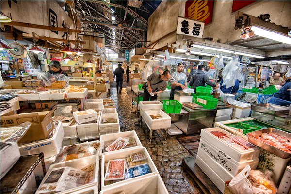 筑地市场确定搬迁打造美食新据点