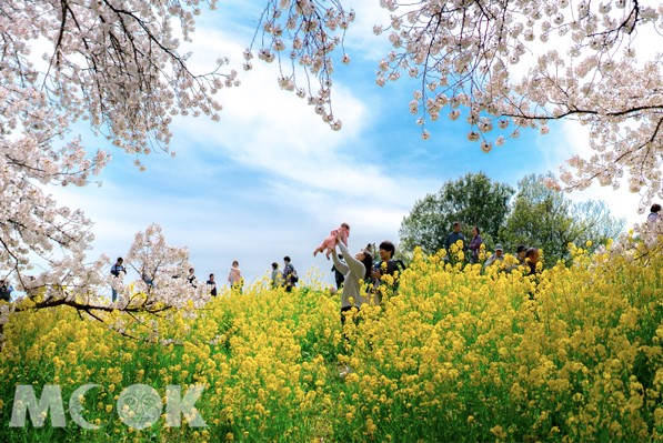 在CaféMUJI欣赏日本四季之美看展享买一送一优惠