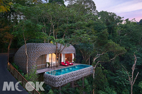 住在树里面！全球十大最受欢迎的树屋饭店