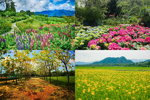全民追花懒人包夏日赏花景点全攻略