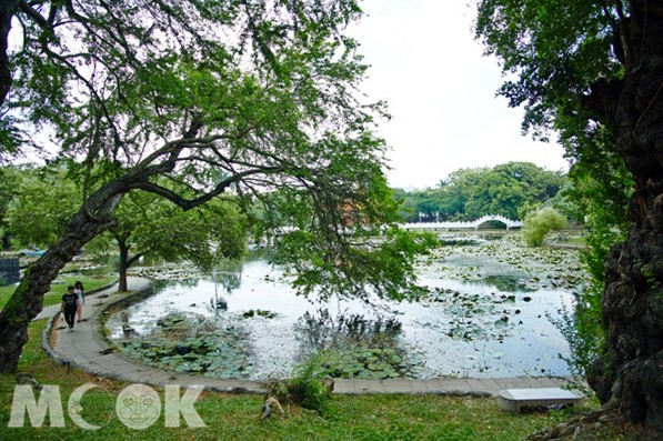 拥抱热带公园百年浪漫台南公园古迹、生态、老树小旅行