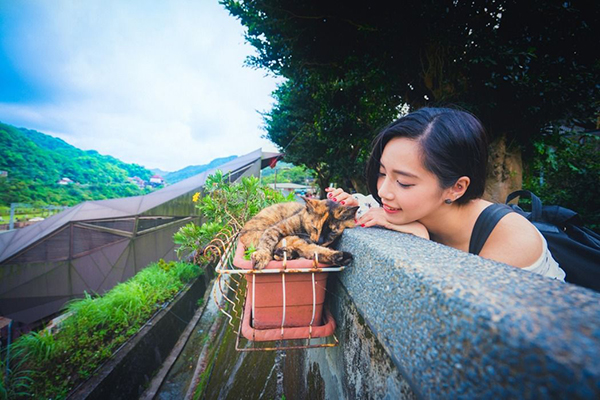 韩客来台疯景点首推IG十大美拍秘境