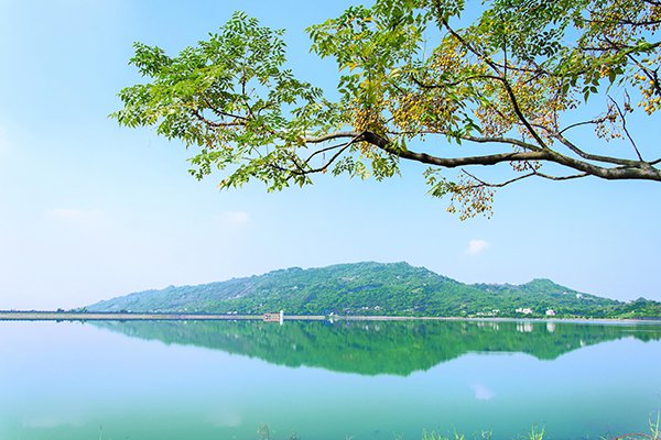 水库秘境Ｘ都市绿肺阿公店森林生态公园