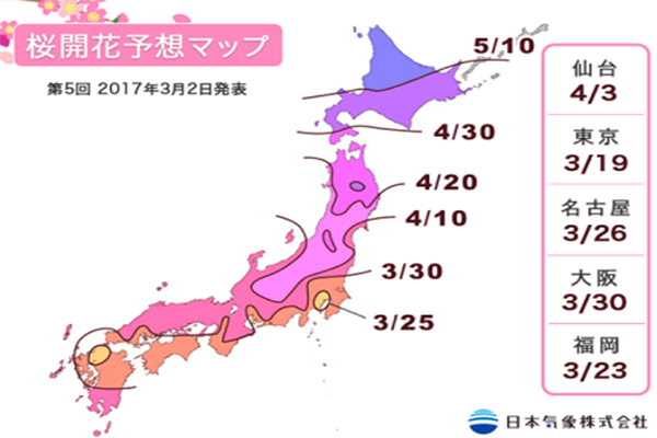 日本赏樱最前线樱花最新预测情报