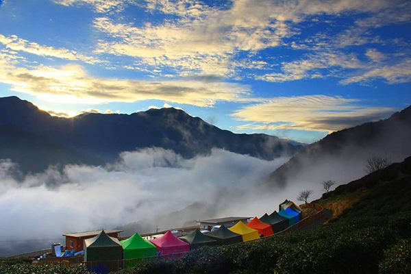 百万琉璃夜景Ｘ壮阔云海秘境茶园露营区